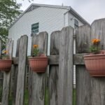 Photo Vertical garden