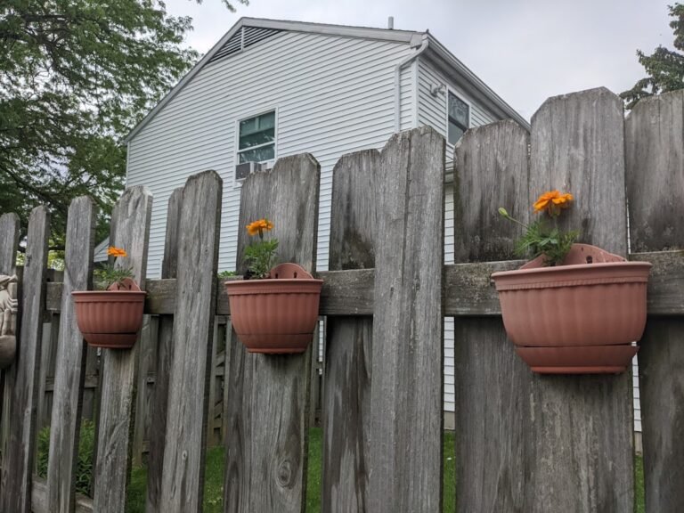 Photo Vertical garden